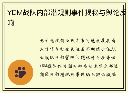 YDM战队内部潜规则事件揭秘与舆论反响